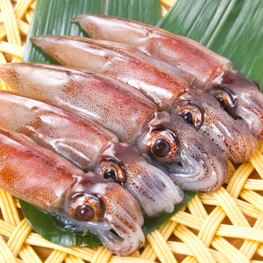 ガラスのホタルイカ 2個セット(生、ボイル) 受注生産】ガラスの