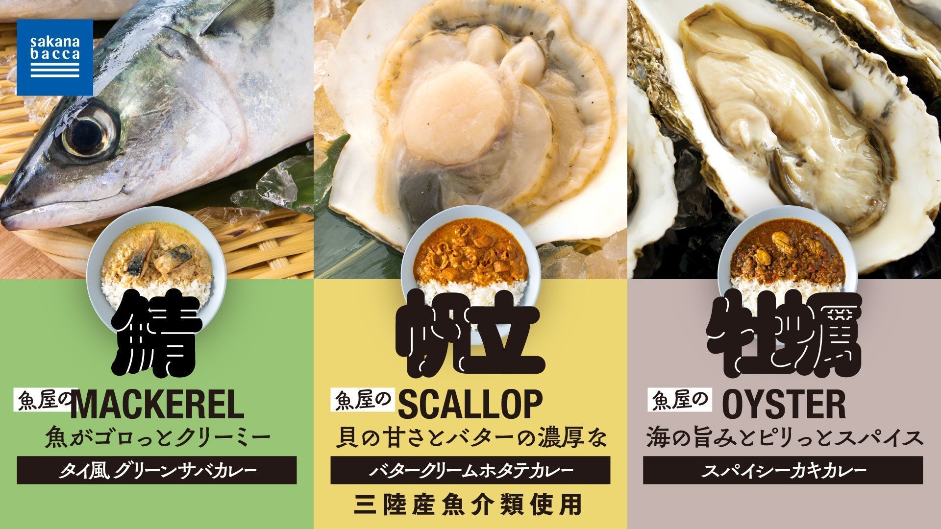 プライベートブランド「魚屋のカレー」3商品を新発売 – sakana bacca
