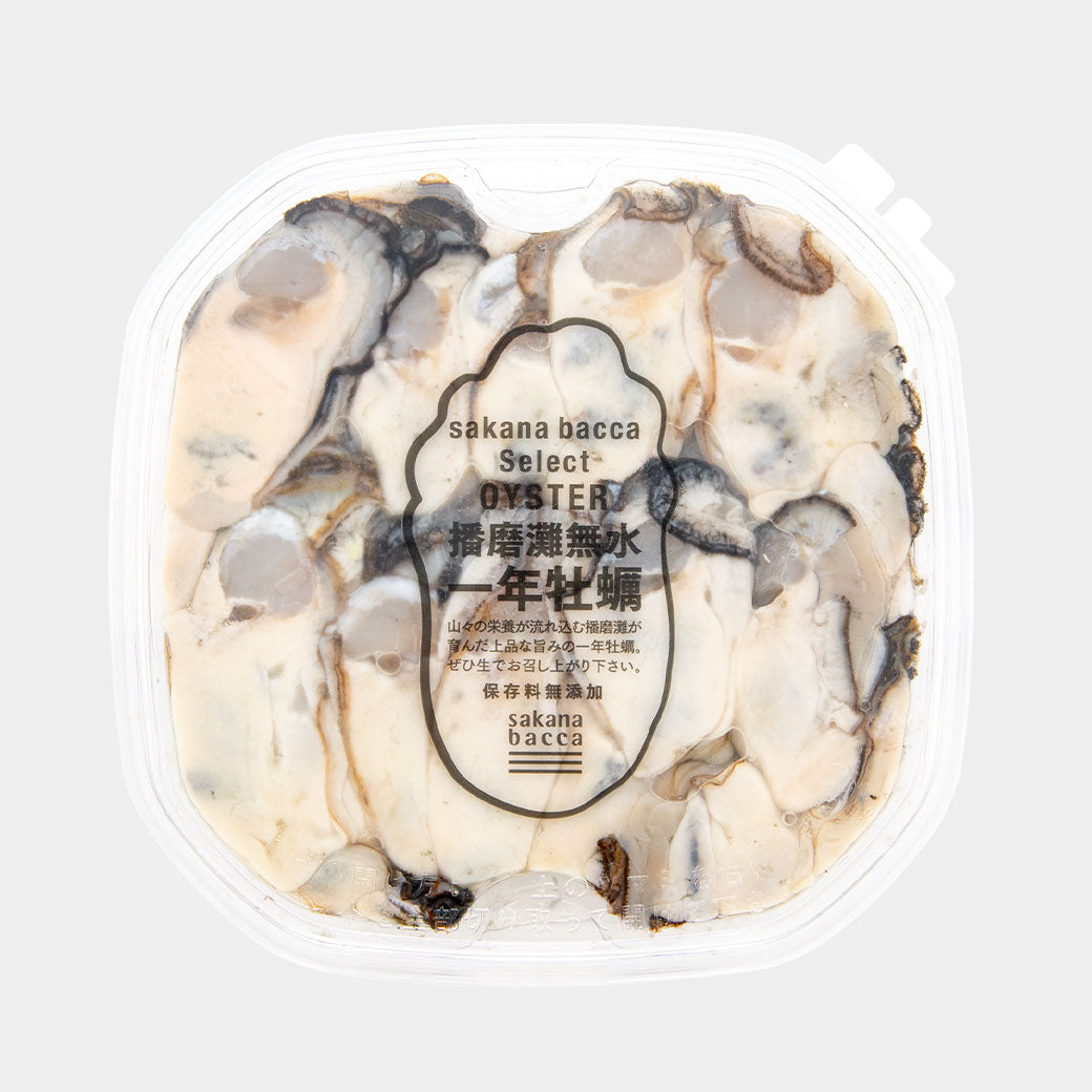 播磨灘産 無水一年むき牡蠣 – sakana bacca